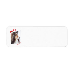 Sheltie Return Label