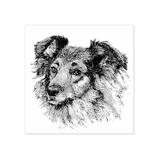 Sheltie Rubberstempel (Afrduk)