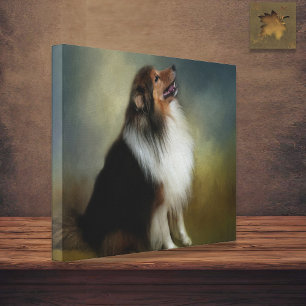 Sheltie Shetland Sheep Dog Canvas