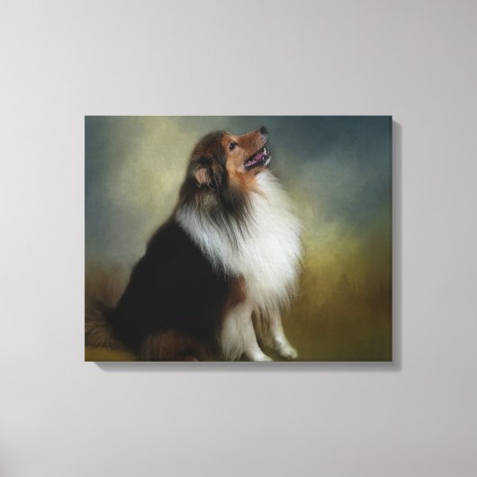 Sheltie Shetland Sheep Dog Canvas Afdruk (Voorkant)