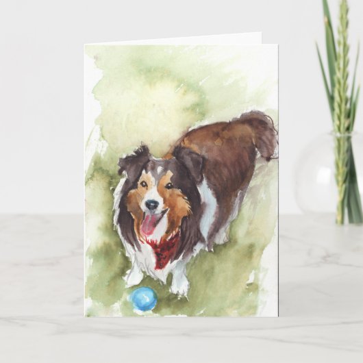 Sheltie/Shetland Sheep Dog Wenskaart Kaart (Voorkant)