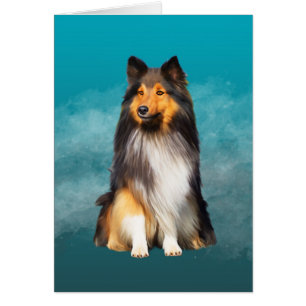Sheltie Shetland Sheepdog Art Portret