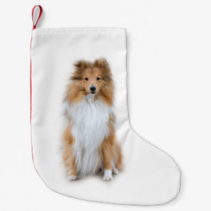 Sheltie Shetland Sheepdog Kleine Kerstsok