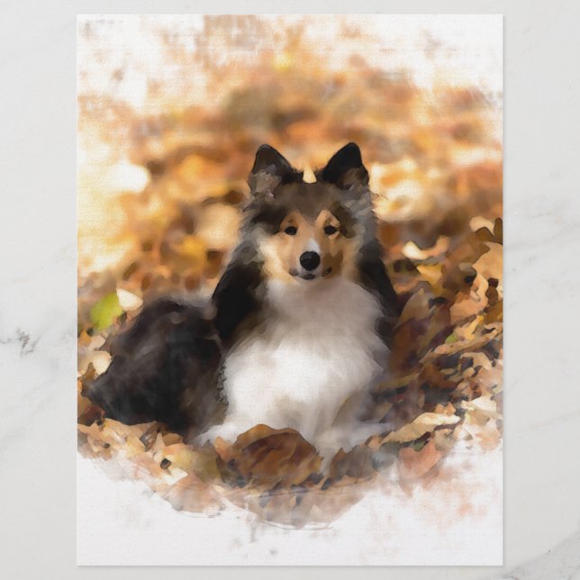 Sheltie Shetland Sheepdog kunstschilderij (Voorkant)