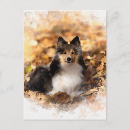 Sheltie Shetland Sheepdog kunstschilderij Briefkaart (Voorkant)