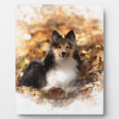 Sheltie Shetland Sheepdog kunstschilderij Fotoplaat (Voorkant)