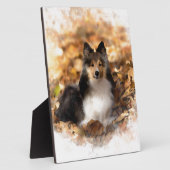 Sheltie Shetland Sheepdog kunstschilderij Fotoplaat (Zijkant)