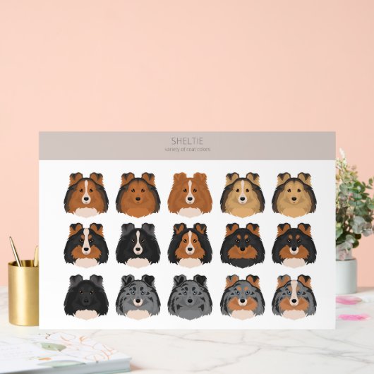 Sheltie, Shetland Sheepdog mix Acryl Bord (Huwelijk)