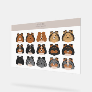 Sheltie, Shetland Sheepdog mix Acryl Bord