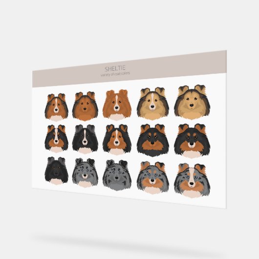 Sheltie, Shetland Sheepdog mix Acryl Bord (Hoek)