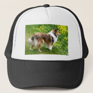 Sheltie Shetland Sheepdog Schilderen Trucker Pet