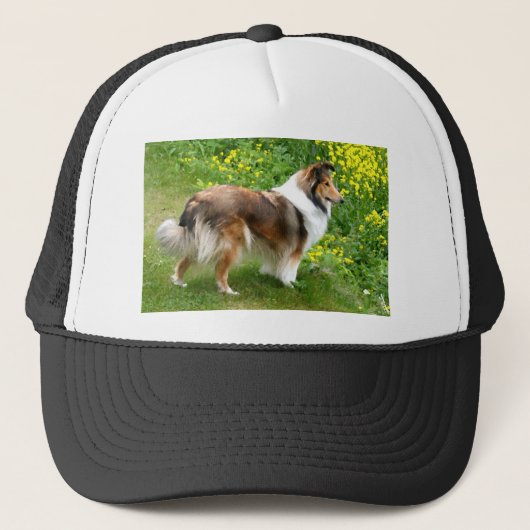 Sheltie Shetland Sheepdog Schilderen Trucker Pet (Voorkant)