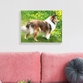 Sheltie Shetland Sheepdog Schilderij Canvas (Insitu (Woonkamer))