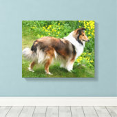 Sheltie Shetland Sheepdog Schilderij Canvas Afdruk (Insitu (Houten vloer))