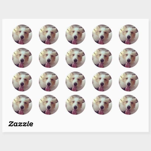 Sheltie Sticker (Vel)