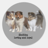 Sheltie Sticker (Voorkant)