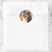 Sheltie Sticker (Tas)