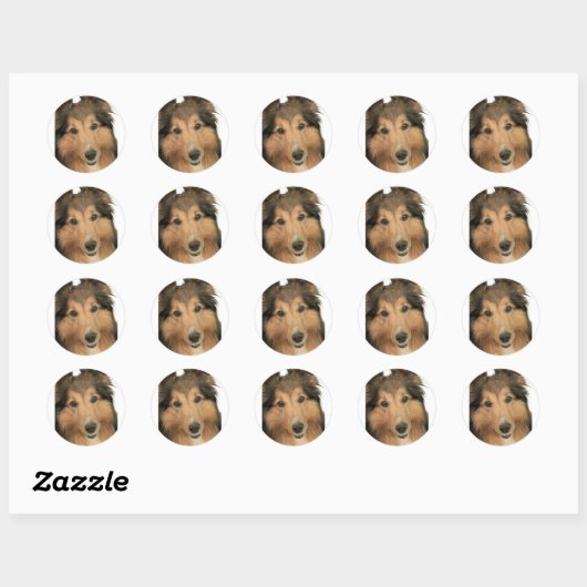 Sheltie Stickers (Vel)