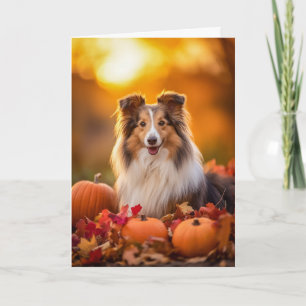 Sheltie Thanksgiving Feestdagen Kaart