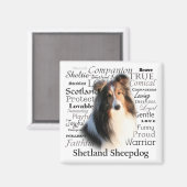 Sheltie Traits Magneet (Voorkant / Achterkant)