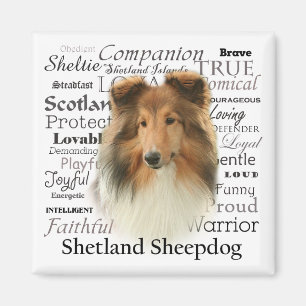 Sheltie Traits Magneet