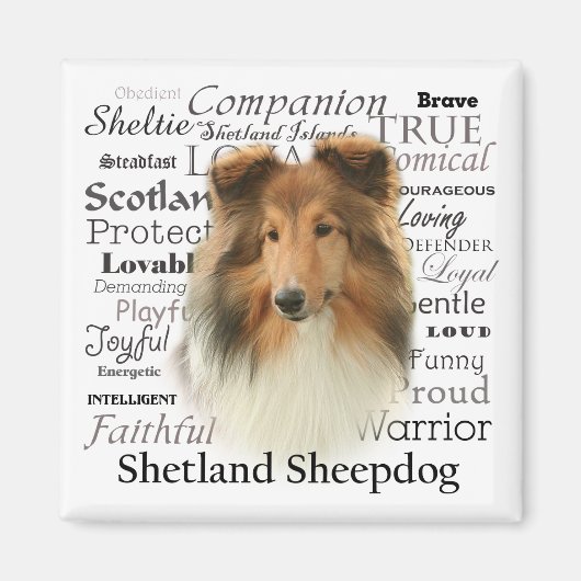 Sheltie Traits Magneet (Voorkant)