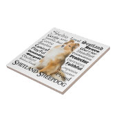 Sheltie Traits Tegel Tegeltje (Zijkant)