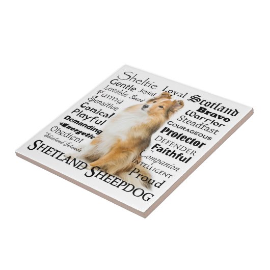 Sheltie Traits Tegel Tegeltje (Zijkant)