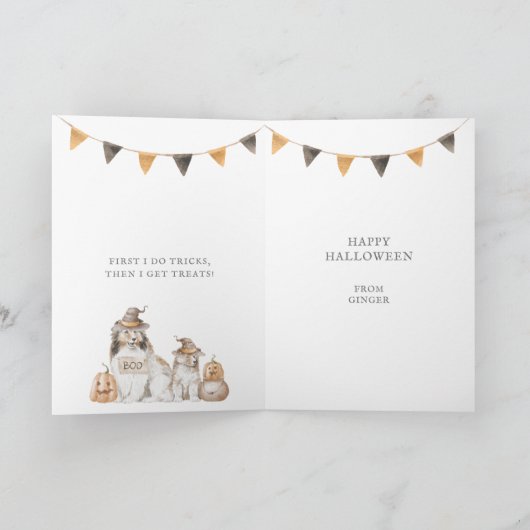 Sheltie Trick or treat Halloween Kaart (Binnen)