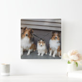 Sheltie Trio Wall Clokd Vierkante Klok (Huis)