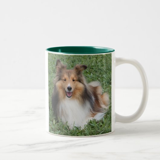 SHELTIE TWEEKLEURIGE KOFFIEMOK (Rechts)
