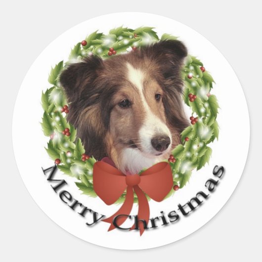 Sheltie Vakantie #2 Sticker (Voorkant)