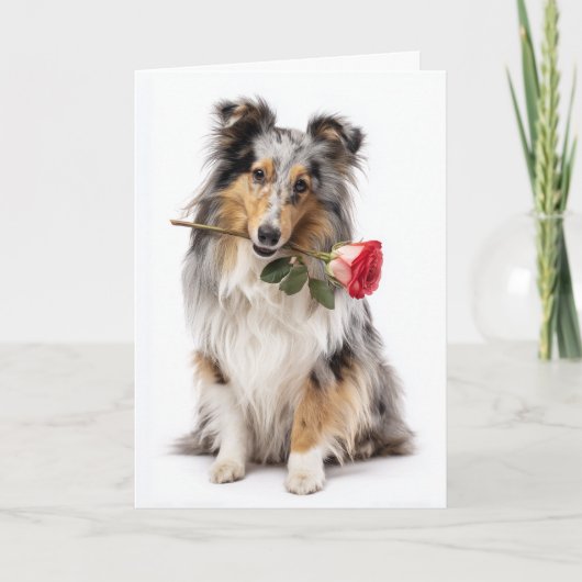 Sheltie Valentijn Kaart (Voorkant)