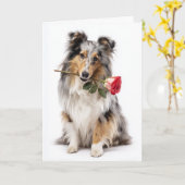 Sheltie Valentijn Kaart (Gele Bloem)