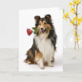 Sheltie Valentine – Liefdevol Hart, Echte Liefde Kaart (Gele Bloem)