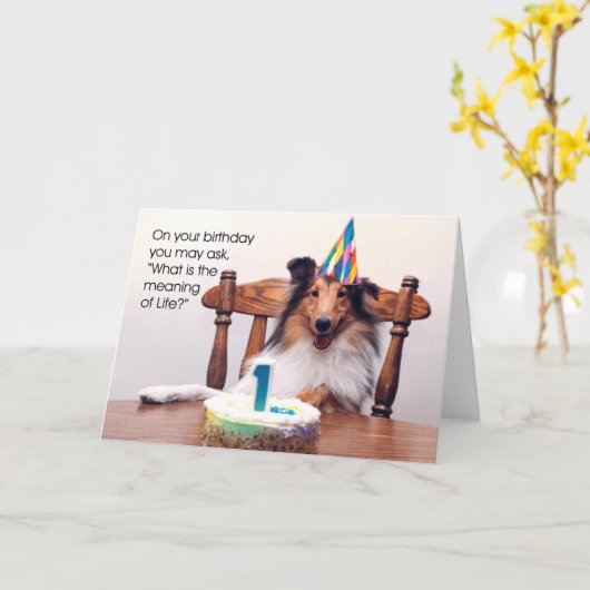 Sheltie Verjaardag Kaart (Gele Bloem)