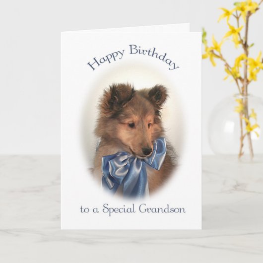 Sheltie Verjaardag Kaart voor kleinzoon (Gele Bloem)