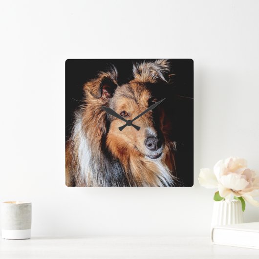 Sheltie Vierkante Klok (Huis)