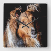 Sheltie Vierkante Klok (Voorkant)