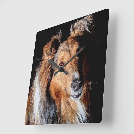 Sheltie Vierkante Klok (Hoek)