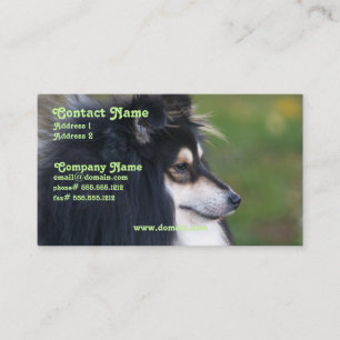 Sheltie Visitekaartje