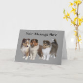 Sheltie Wenskaart Kaart (Gele Bloem)