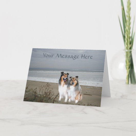 Sheltie Wenskaart Kaart (Voorkant)