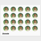 Shelties Lood #2 Stickers (Vel)