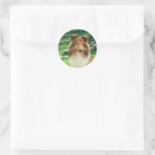 Shelties Lood #2 Stickers (Tas)