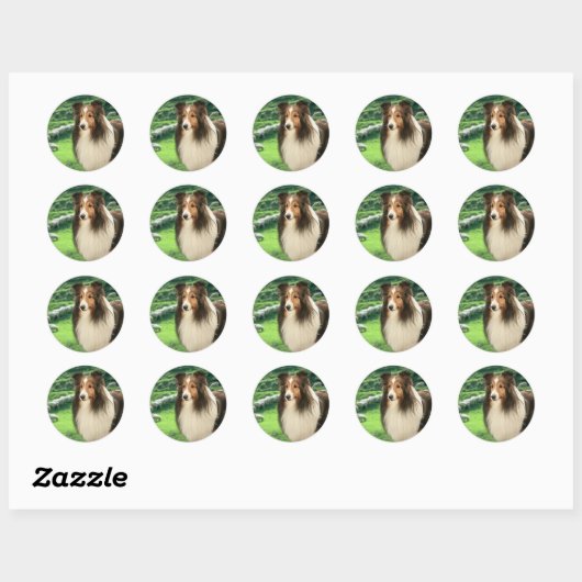 Shelties Lood Sticker (Vel)