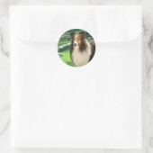 Shelties Lood Sticker (Tas)