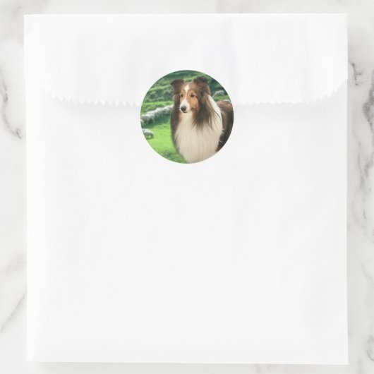 Shelties Lood Sticker (Tas)
