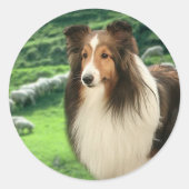 Shelties Lood Sticker (Voorkant)