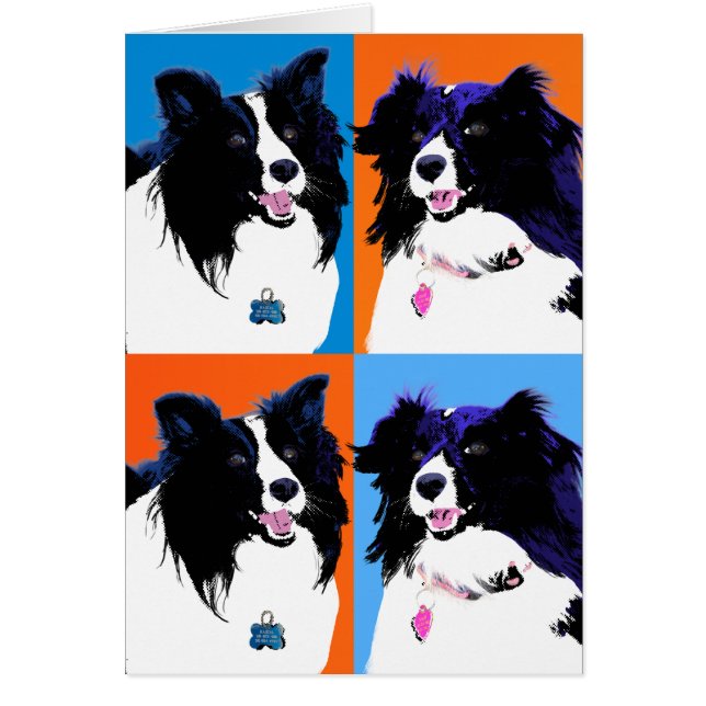 Shelties Pop Art (Voorkant)